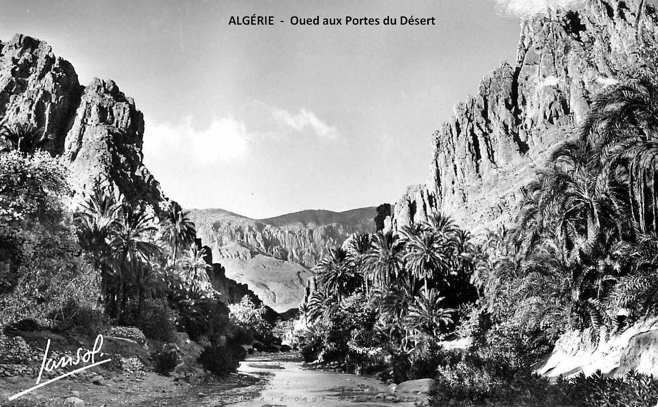 Algerie - Oued aux Portes du Desert.jpg